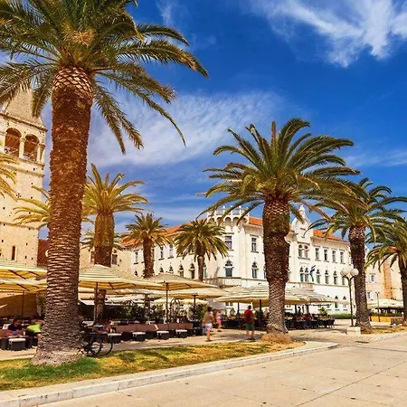 By Joe Jr. Trogir